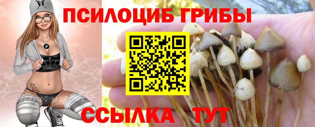 Галлюциногенные грибы ЛСД Нурлат