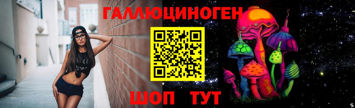 Псилоцибиновые грибы Psilocybe  Вход с VPN  Нурлат  Псилоцибиновые грибы мицелий 